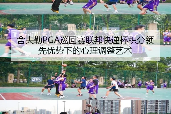 she-fu-lei-xun-hui-sai-lian-bang-kuai-di-bei-ji-fen-ling-xian-you-shi-xia-de-xin-li-tiao-zheng-yi-shu-2-626.jpg