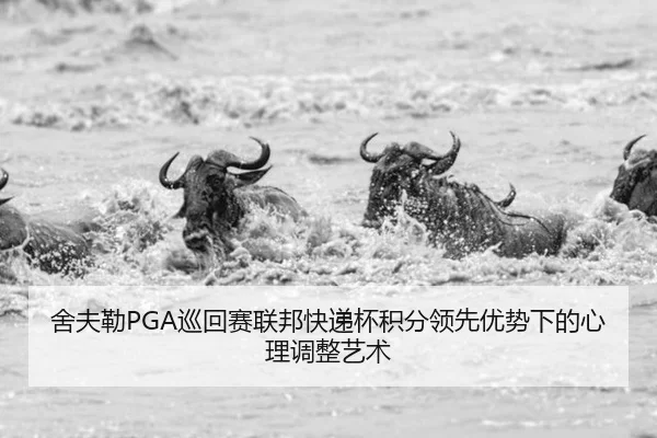 she-fu-lei-xun-hui-sai-lian-bang-kuai-di-bei-ji-fen-ling-xian-you-shi-xia-de-xin-li-tiao-zheng-yi-shu-3-277.jpg