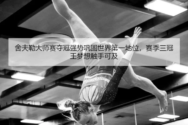 she-fu-lei-da-shi-sai-duo-guan-qiang-shi-gong-gu-shi-jie-di-yi-di-wei-sai-ji-san-guan-wang-meng-xiang-chu-shou-ke-ji-2-402.jpg