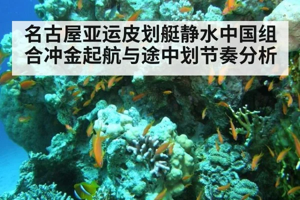 名古屋亚运皮划艇静水中国组合冲金起航与途中划节奏分析